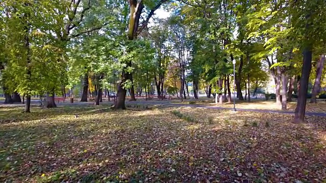 航拍城市公园秋天的自然风光视频素材