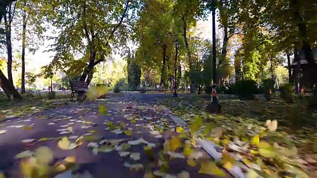 航拍城市公园秋天的自然风光视频素材