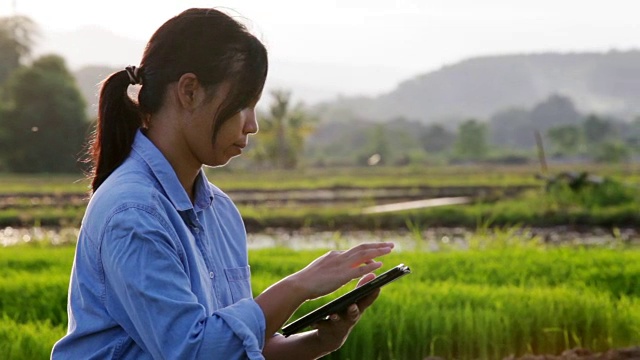 特写亚洲年轻女性使用数字平板电脑在农业领域视频素材