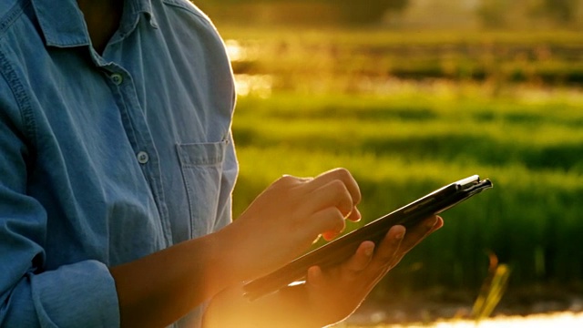 特写亚洲年轻女性使用数字平板电脑在农业领域视频素材