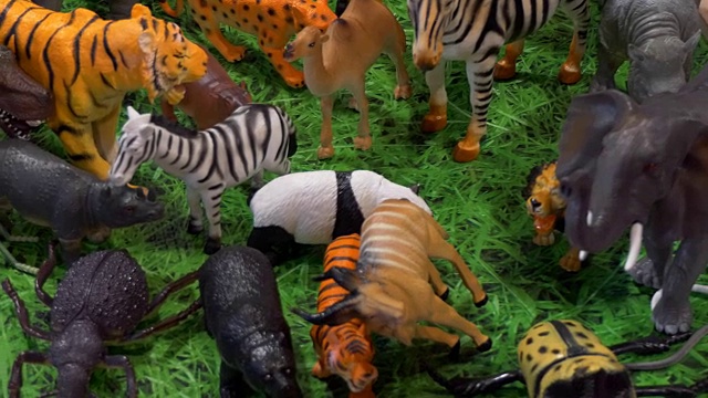 塑料动物玩具视频下载