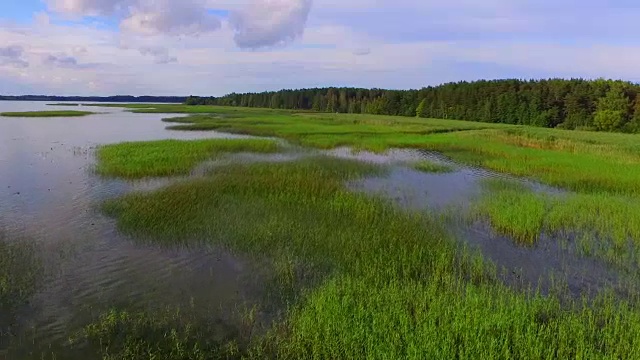 拉脱维亚拉兹纳湖和国家公园的鸟瞰图视频下载
