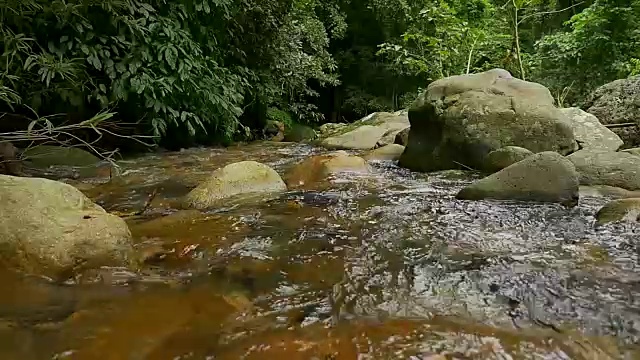 热带雨林瀑布的慢镜头视频下载