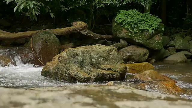 热带雨林瀑布的慢动作场景，并改变焦点视频下载