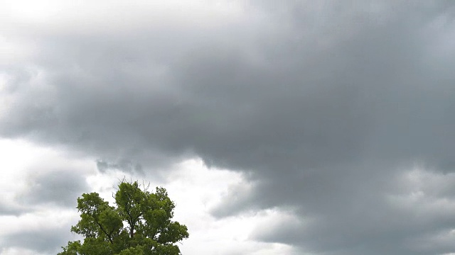 泰国雨季，树上雨云的移动。视频下载