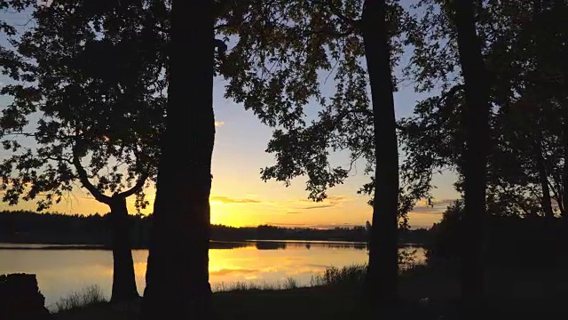 森林湖上的日落视频素材