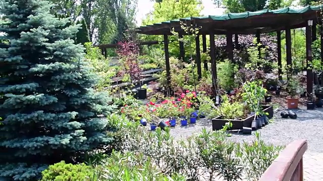 园艺中心在春天的时候。园艺。视频下载