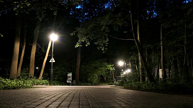 一个人独自走在黑暗的公园胡同里视频素材
