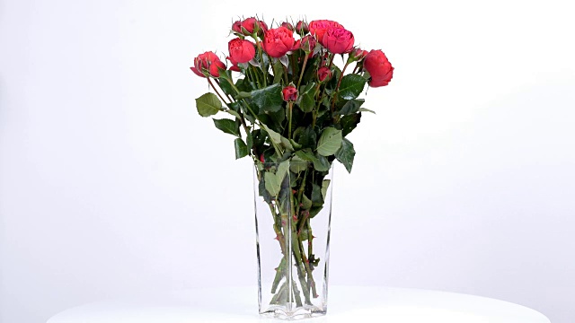 花束、花束、旋转上白色背景，由蔷薇花瓣组成，呈石榴状的波尔多视频下载