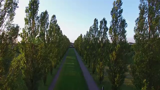 航拍瑞典马尔默公园的林荫道和散步道视频下载