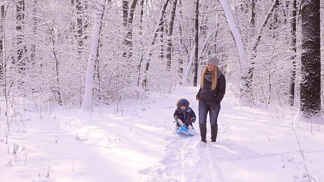 母亲和儿子走在冬季公园的雪橇上。视频素材