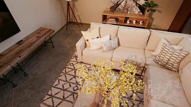 客厅沙发从高到低的桌子上的花视频素材