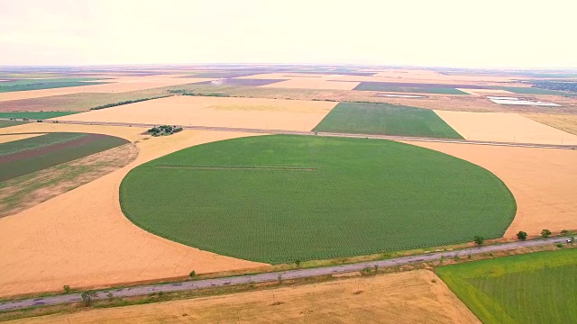 从一大片麦田高处看过去，形成一个圆圈。种植和灌溉土地视频素材