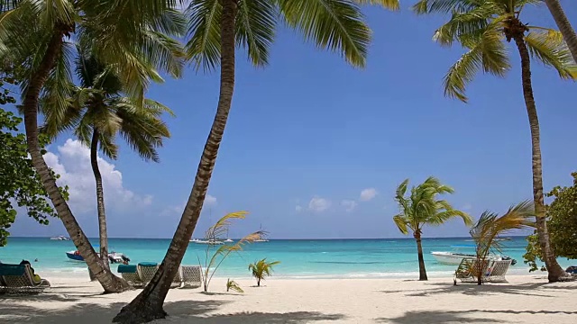 棕榈及热带海滩视频素材