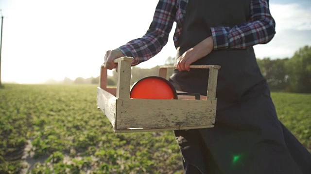 一个农民带着一个装着绿色植物的箱子在田里走着。慢动作视频素材