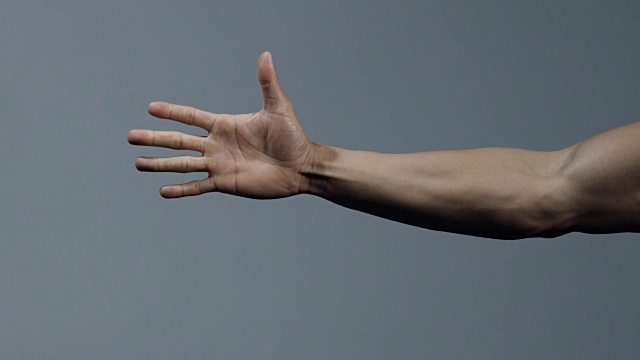 前臂和手的一个健身模型视频素材