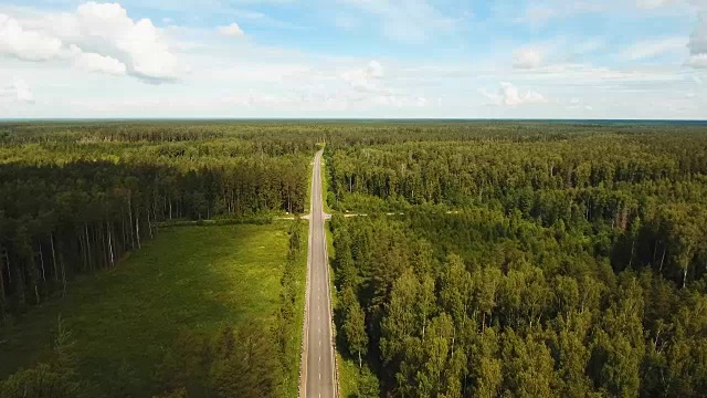 森林中的公路视频下载