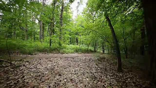 在森林道路上骑自行车的人的稳定凸轮视图视频素材