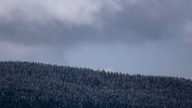 雪白色的云在山上的森林上空形成。时间流逝视频素材