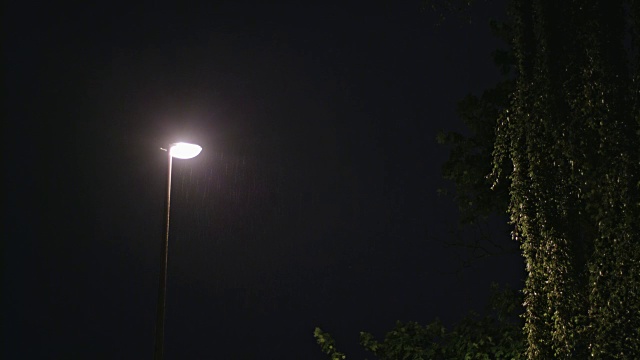雨夜。孤独的灯柱和一棵潮湿的树视频素材