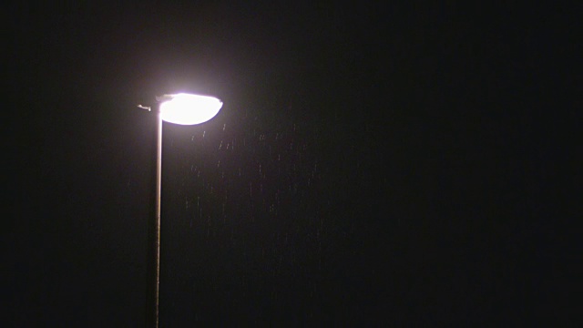雨夜。孤独的路灯柱视频素材