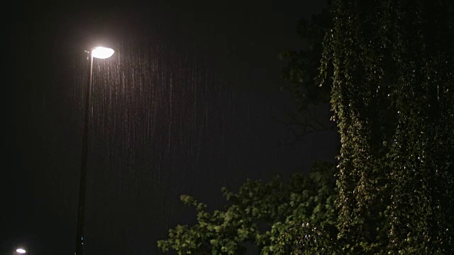 雨夜。孤独的灯柱和一棵潮湿的树视频素材