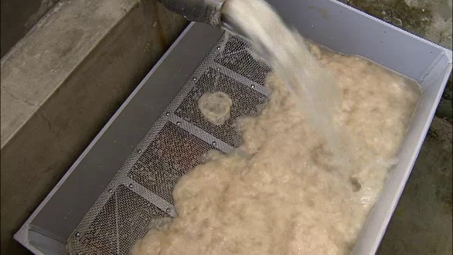 日本，桑树浆洗净并软化视频下载