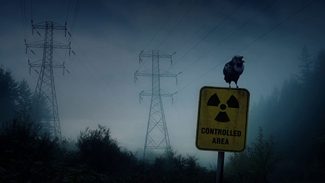 乌鸦栖息在核辐射标志上视频下载
