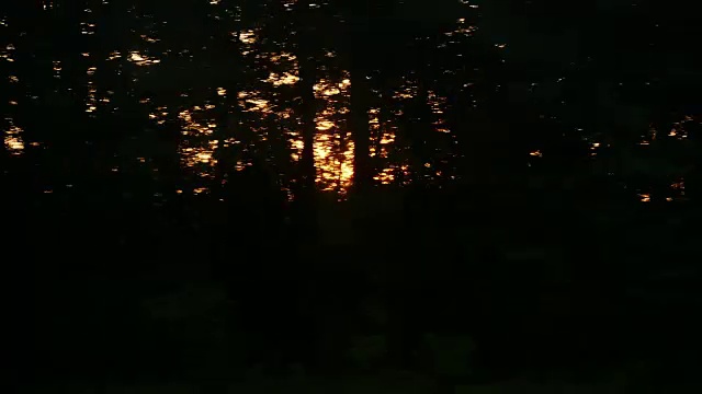 阳光透过树木的黑影照射进来。黎明或日落时从快速行驶的火车上看到的景色视频素材
