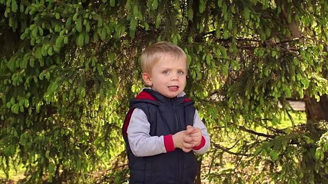 小男孩的肖像，背景是皮草树。视频下载