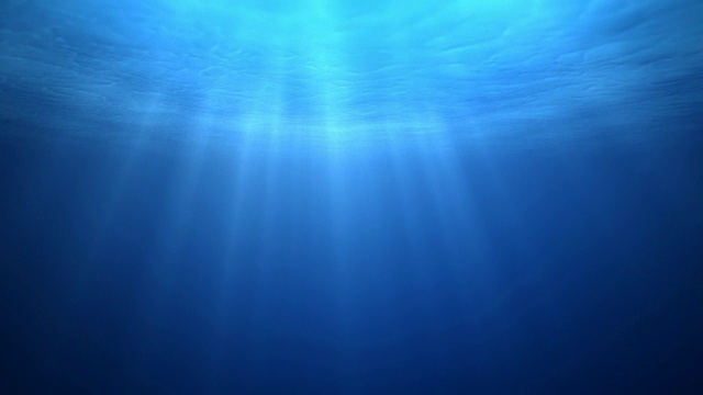 水下海洋背景视频下载