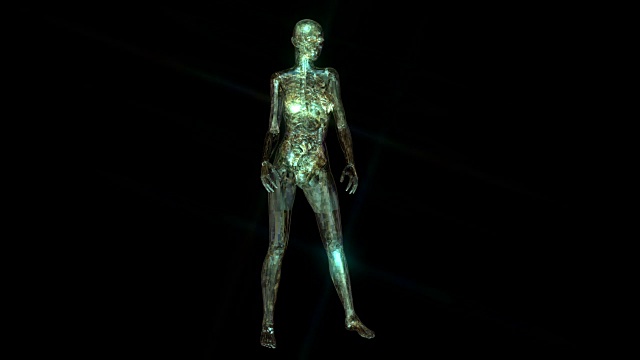 人体解剖学的数字3D动画视频下载