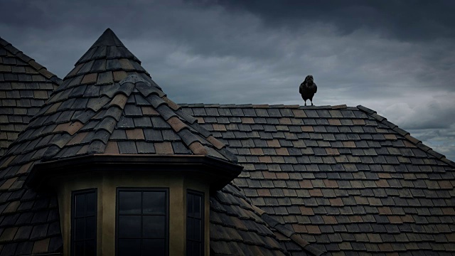 老房子屋顶上的乌鸦视频素材