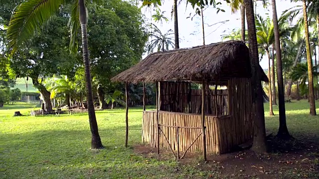 毛里求斯公园里的小屋视频下载