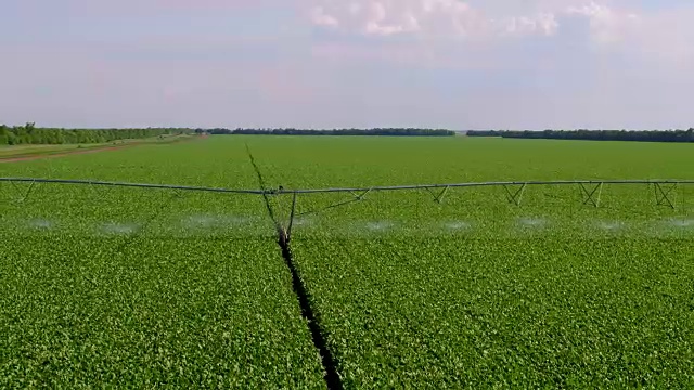 用灌溉系统浇灌蔬菜地，鸟瞰图视频下载