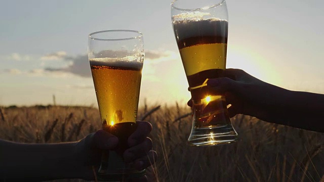 日落时分，在一片大麦或小麦田的背景下，碰杯冰镇啤酒。特写，画面上只有手视频下载