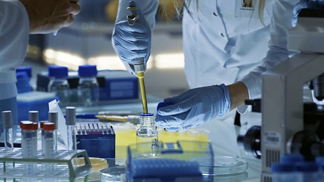 女研究科学家使用微管填充试管。科学家在一组科学家试图治愈致命的疾病，他们在一个大实验室/研究中心工作。视频素材