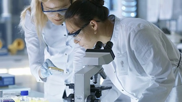 医学研究科学家检查培养皿样本和在显微镜下观察样本。他们在一个现代化的实验室工作。视频素材