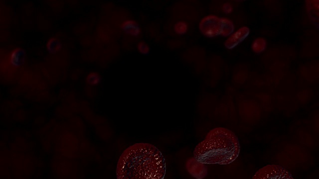 4K显微镜查看红细胞-股票视频视频素材