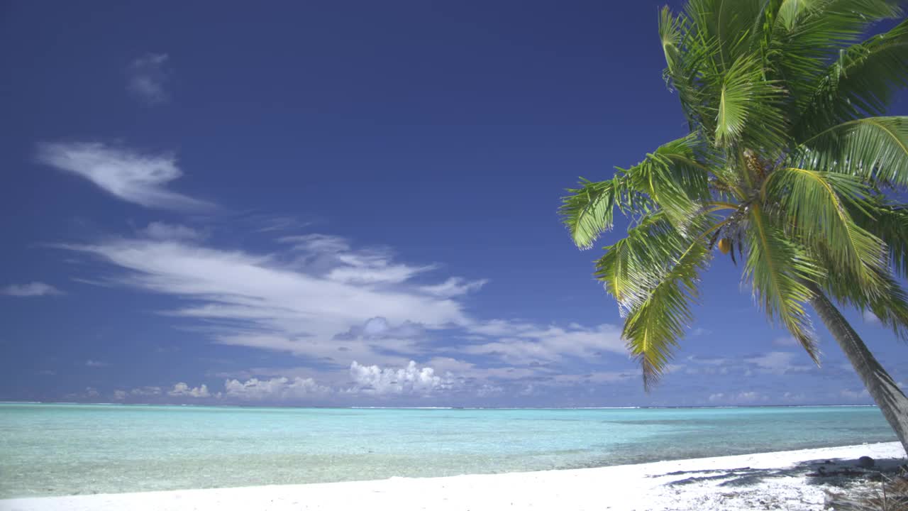 MS，棕榈摇曳在热带沙滩，Aitutaki泻湖，Aitutaki，库克群岛视频下载