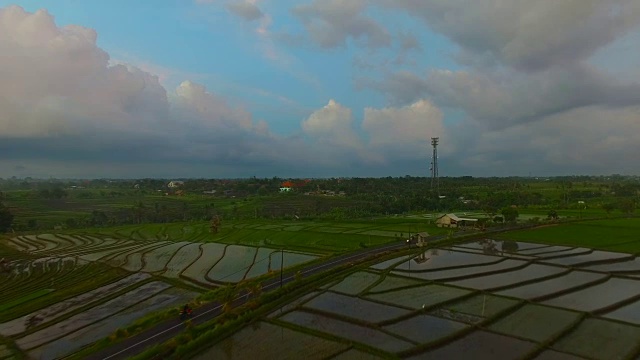 日落时，空中飞过稻田。巴厘岛,印度尼西亚视频素材