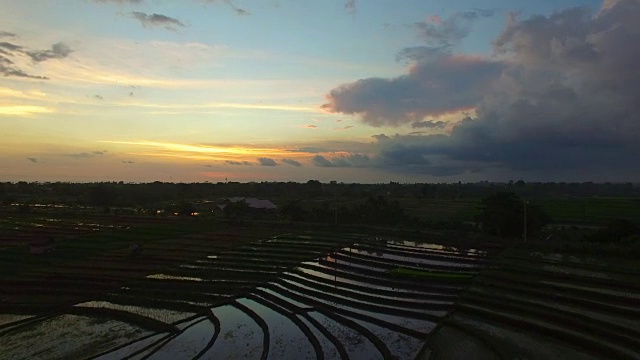 日落时稻田的航拍画面。巴厘岛,印度尼西亚视频素材