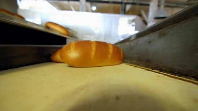 传送带上的新鲜面包。面包店的面包生产工艺视频下载