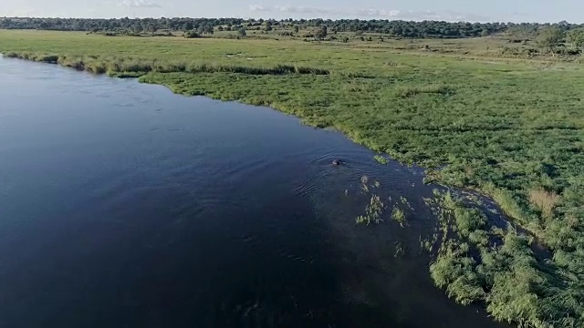 奥卡万戈河。无人机的观点。视频素材