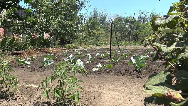 菜园浇水视频下载