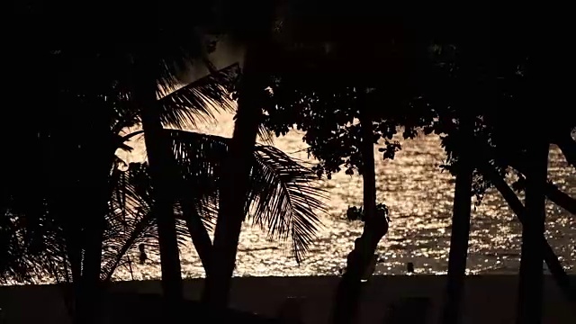 热带岛屿上的棕榈树剪影，绿叶和阳光，充满异国情调的地方视频素材