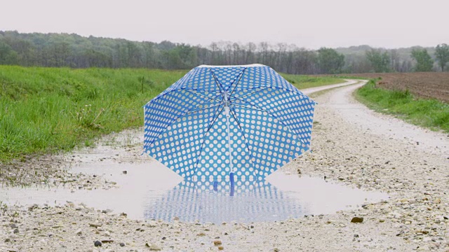 SLO MO DS儿童的雨伞在一个泥泞的水坑里视频下载