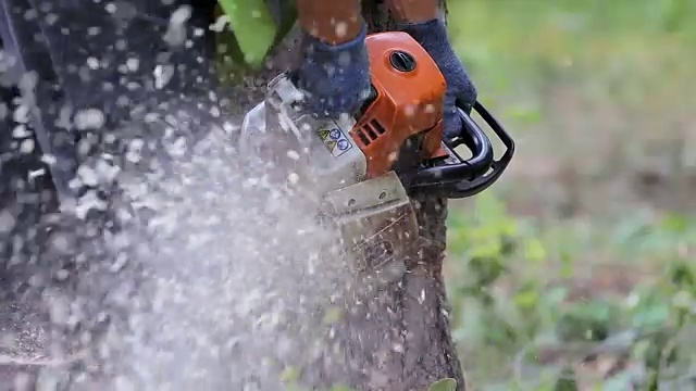 一个樵夫正在从一棵树上切一块更小的木头，锯末到处飞视频素材