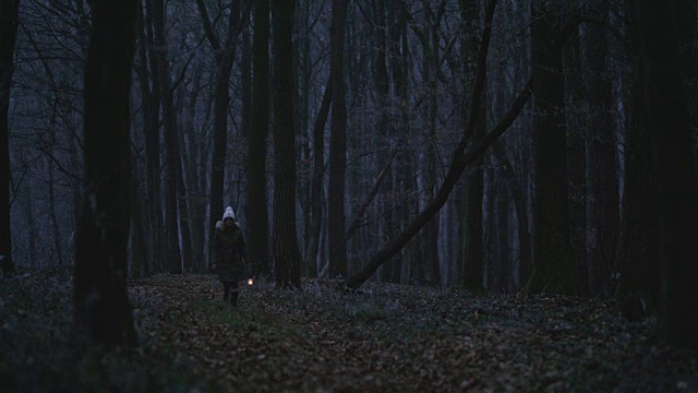 一个女人提着灯笼穿过寒冷的森林视频素材