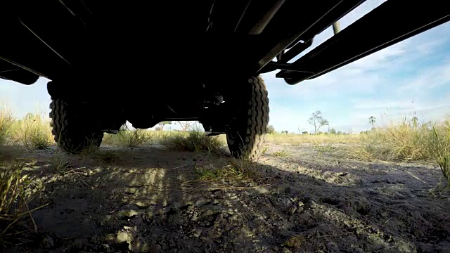 在博茨瓦纳丛林中，一辆狩猎车从一台Gopro相机上碾过视频素材